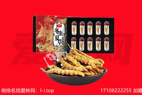 石城县回收虫草.jpg